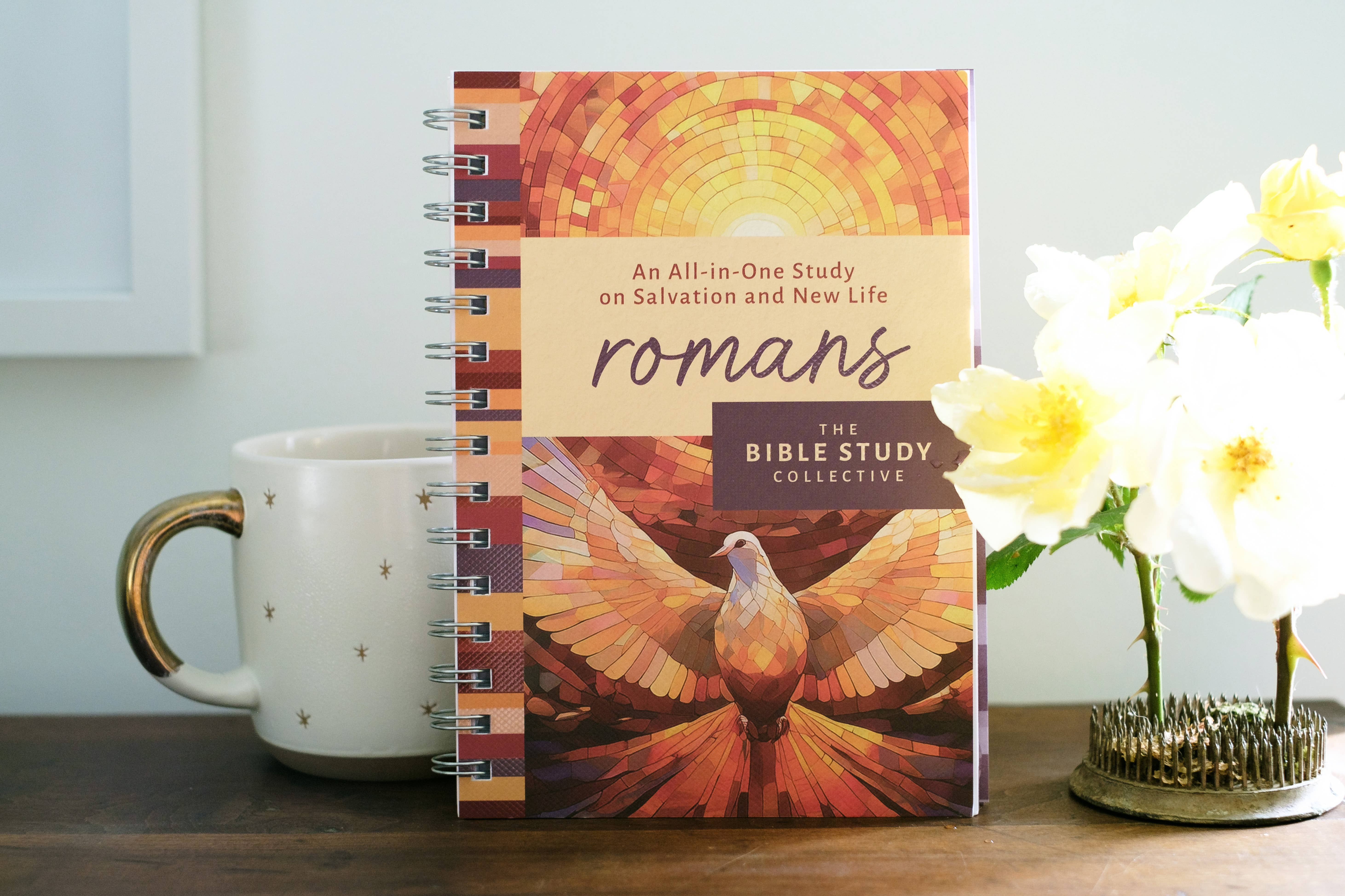 Romans: An All-in-One Study on Salvation and New Life
