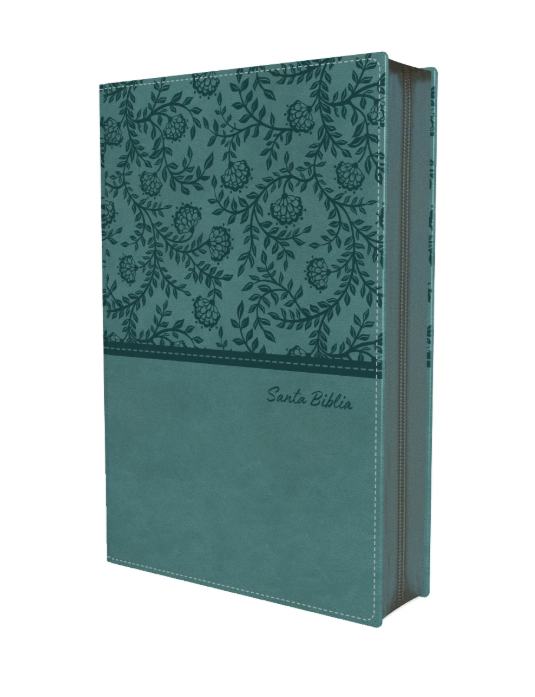 RVR60 Holy Bible Holy Land Ultrathin Large Pri